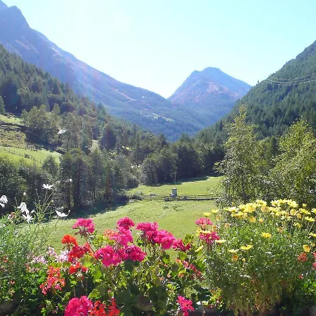 Amici-1 By Interhome