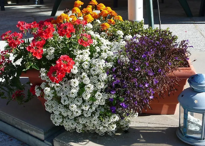 Amici-1 By Interhome Lejlighed *